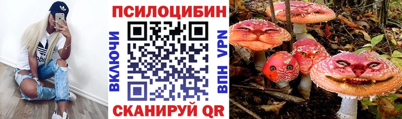 Псилоцибиновые грибы мухоморы  Купить закладки  Переславль-Залесский 