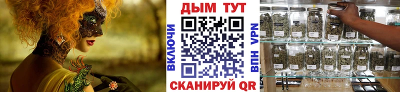 Шишки марихуана Bruce Banner  Купить где  Переславль-Залесский 